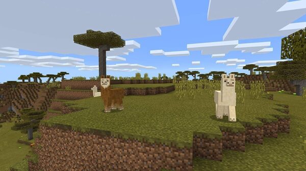 Minecraft - Imagen 5